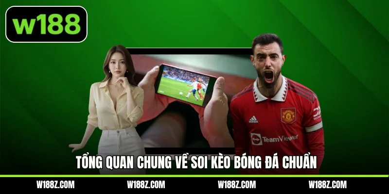 Tổng quan chung về soi kèo bóng đá chuẩn